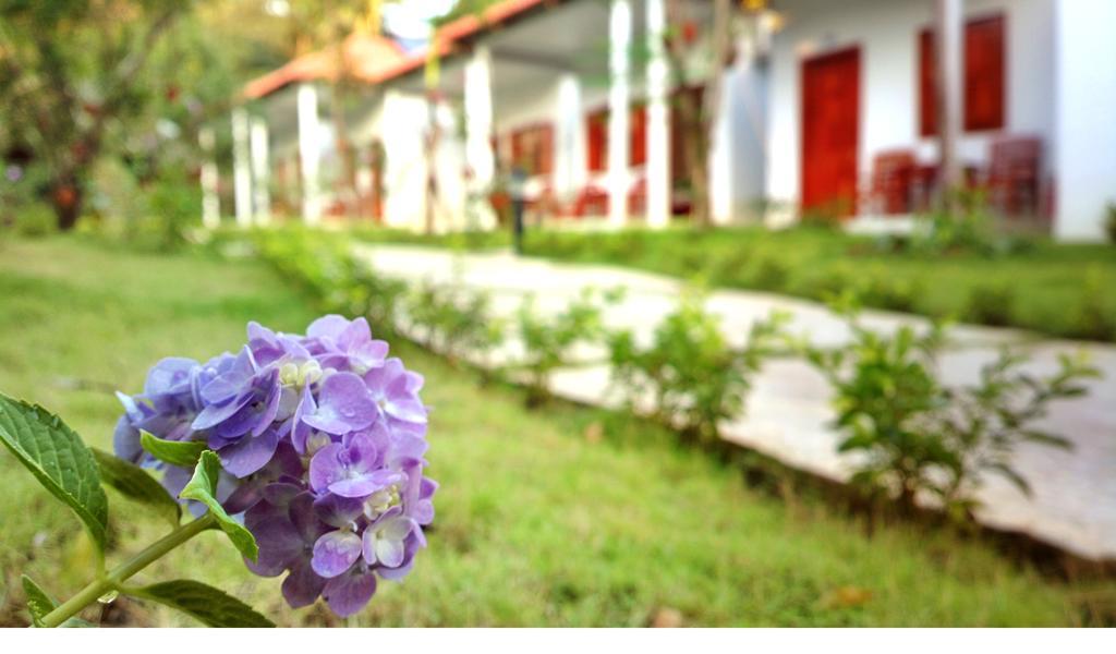 Highland Bungalow Phú Quốc Eksteriør billede