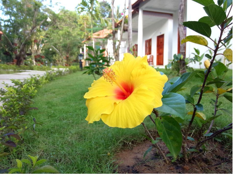 Highland Bungalow Phú Quốc Eksteriør billede