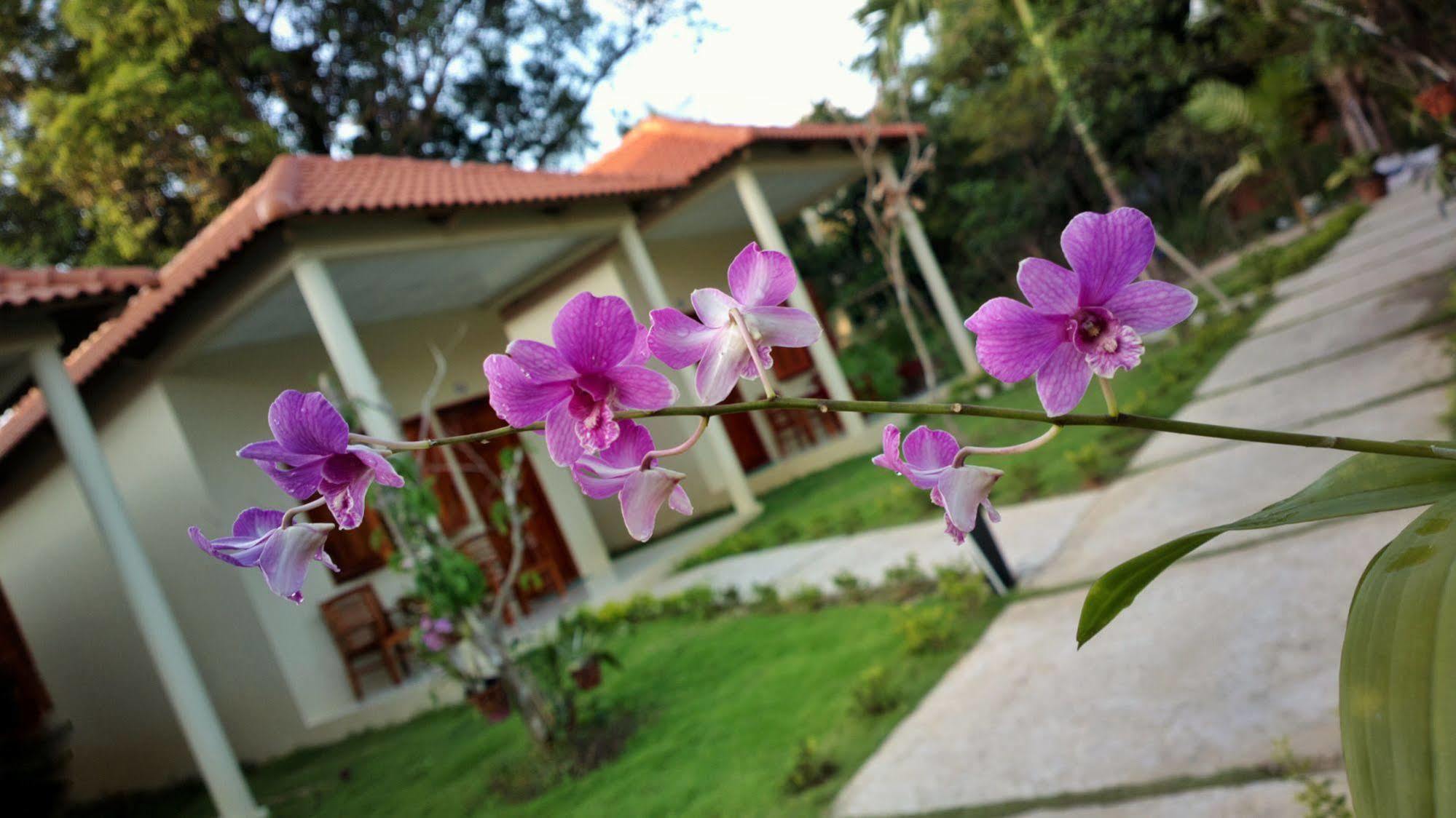 Highland Bungalow Phú Quốc Eksteriør billede